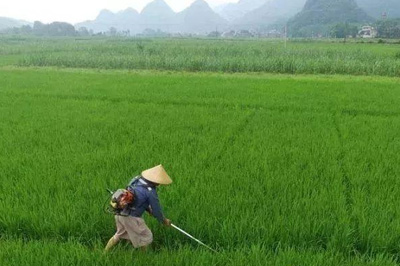 公司生產(chǎn)的除草劑使用方法及分類